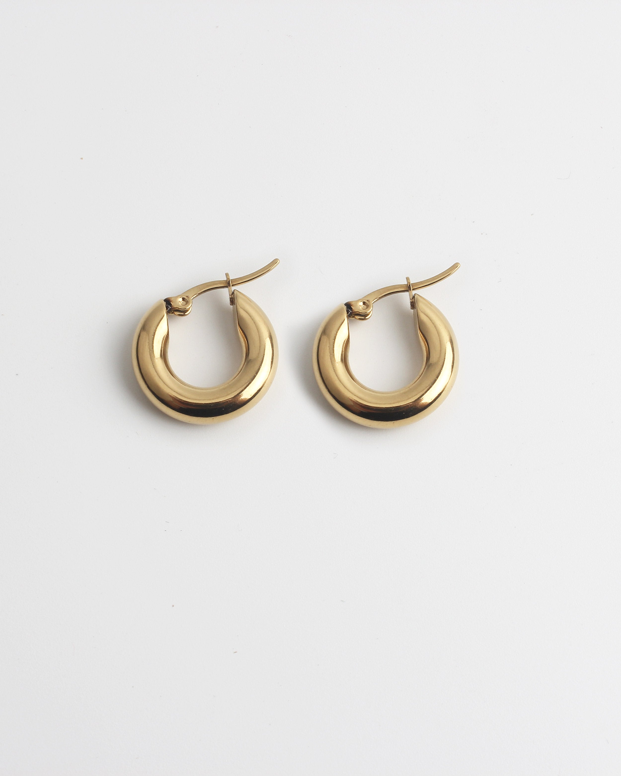 Dolce - Boucles d'oreilles - Acier inoxydable