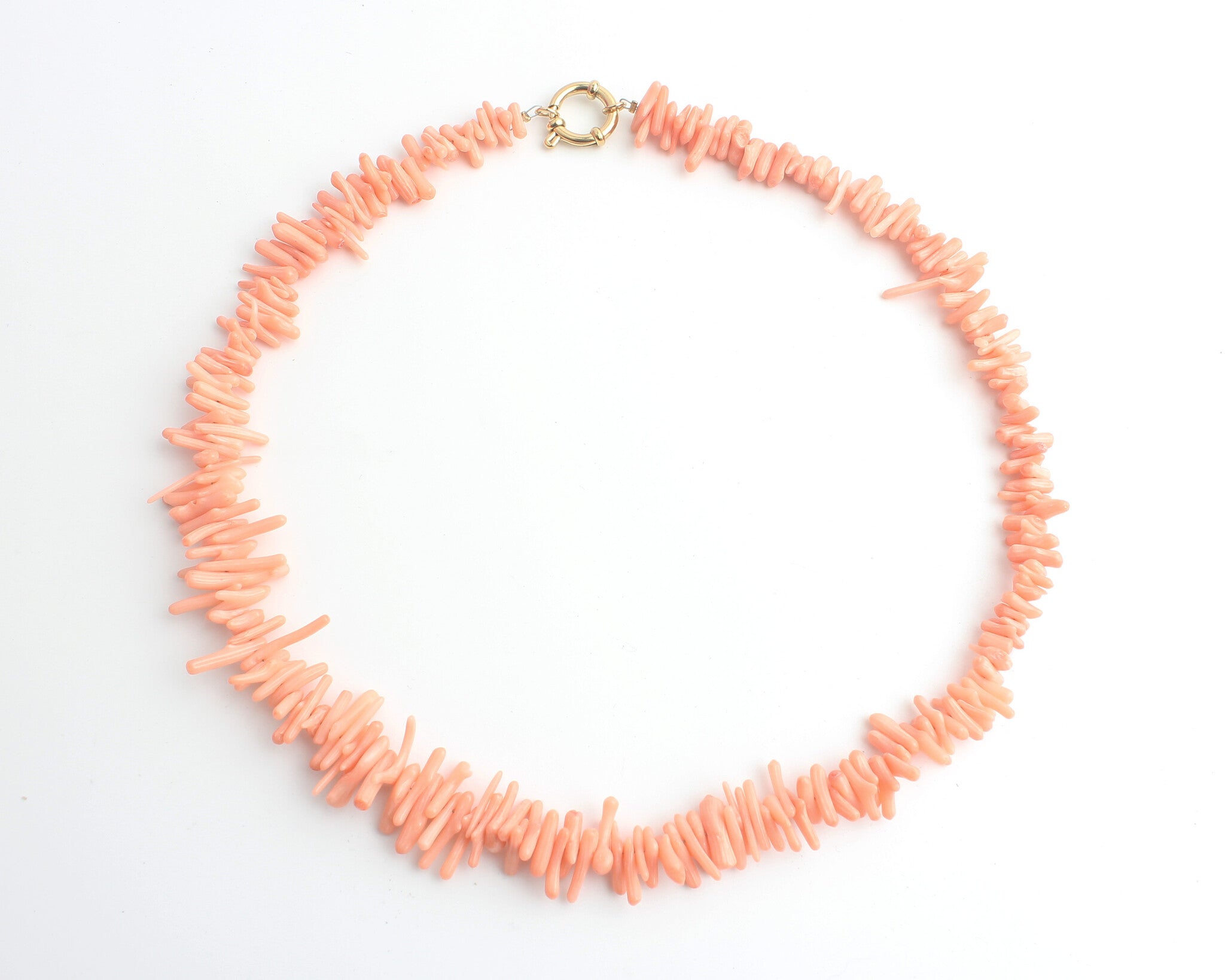 Pretty Shell - Necklace - Stainless Steel