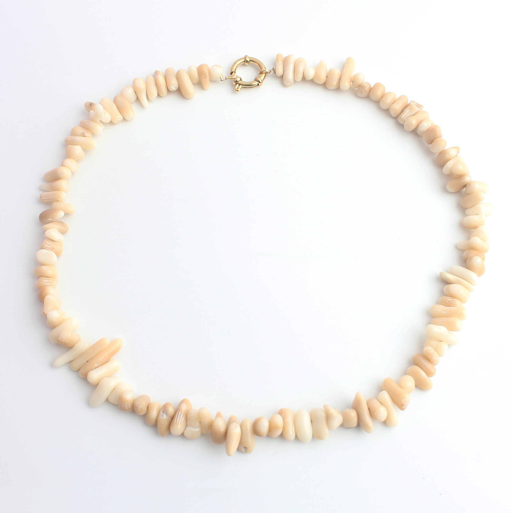 Pretty Shell - Necklace - Stainless Steel